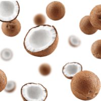 COCONUT PARADISE LIQUID SOAP - Image 2